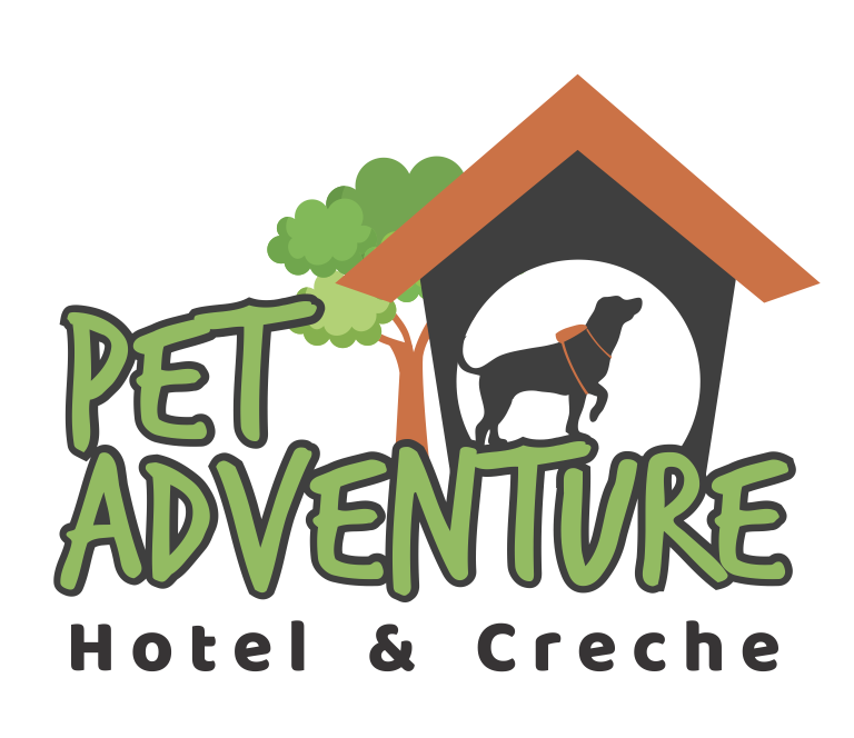 Logo Adventure PNG.png